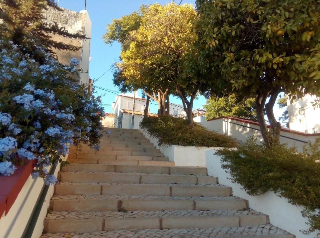 Casa Pelourinho Villa Silves Eksteriør bilde